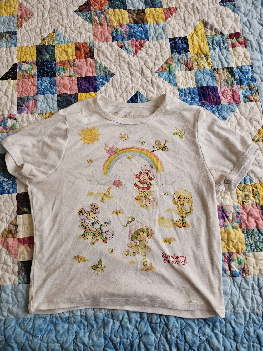 Strawberry Shortcake Shirt